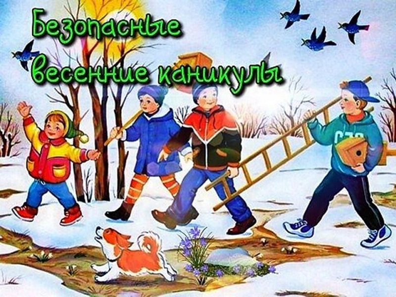 Изображения.